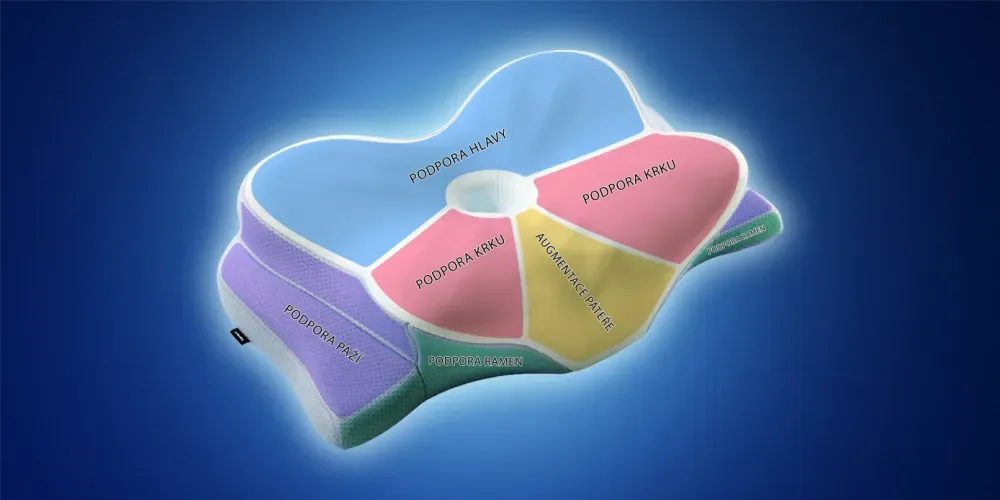 Diagram showing the different areas of the Derila Ergo pillow